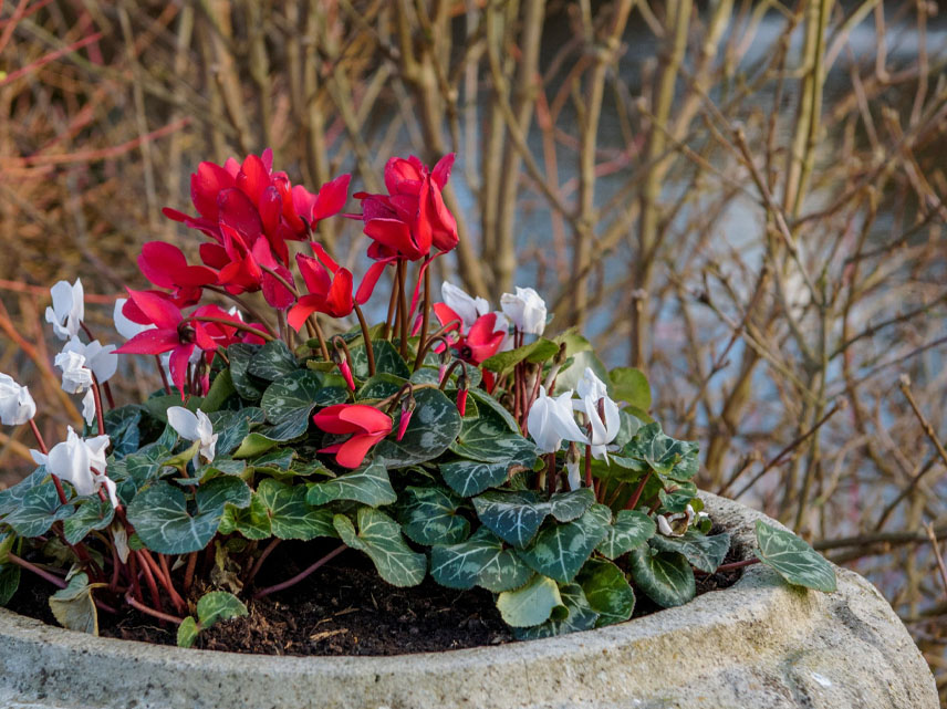 _0070_Seasonal Decorating Guide_ From Spring Flowers to Winter Warmth